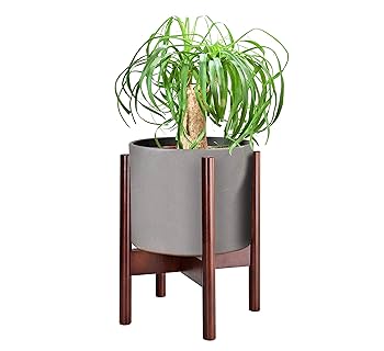 Amazon.com : Wood Plant Stand for Corner and Floor - Holds